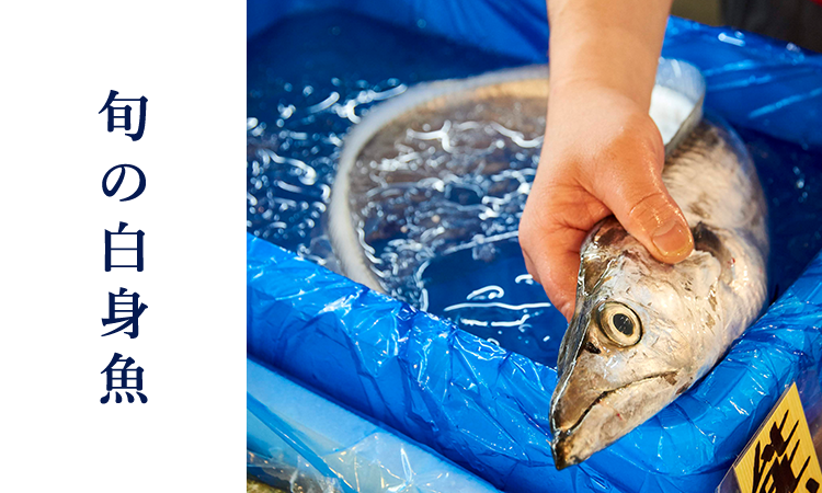 豊洲で高品質のウニや白身魚 貝類を適正価格で 豊洲で高品質のウニや白身魚 貝類を適正価格で