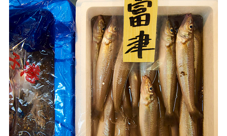 魚