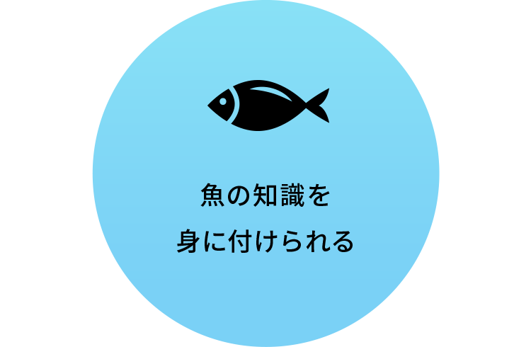 魚の知識を身に付けられる