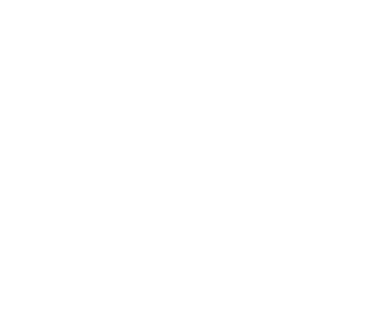 水産物を国内外で取り扱い魚に合う日本酒やワインの提案海外の物の仕入れ交渉をしながら国産のワイナリーとして販売